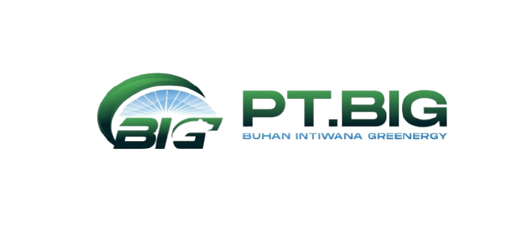 PT. BIG Logo